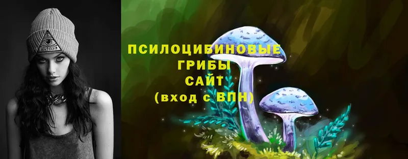 Галлюциногенные грибы Cubensis  Камень-на-Оби 